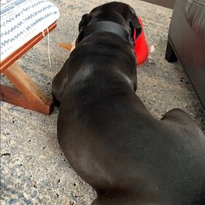 Meet your Posher, Heath